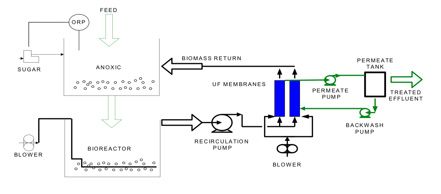 bioliftsystem